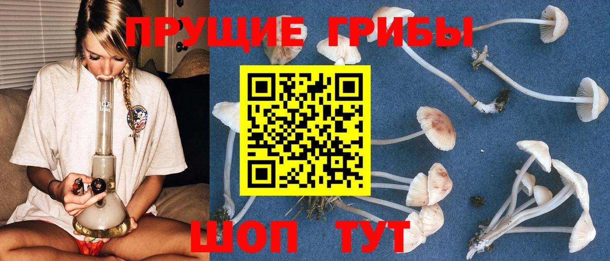 Галлюциногенные грибы MAGIC MUSHROOMS  Псилоцибиновые грибы Magic Shrooms  Вход с VPN  Мурино 